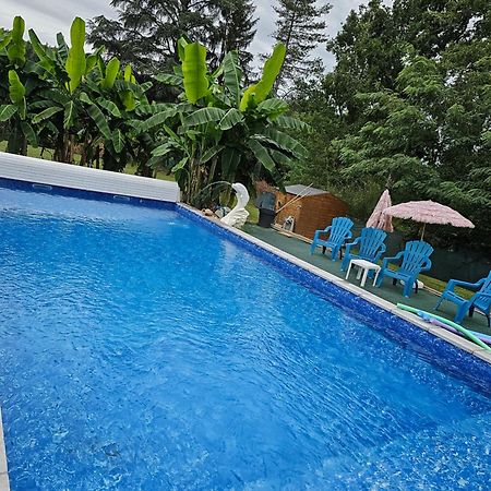 Domaine Mon Doux Reve Bed & Breakfast Terrasson-Lavilledieu Exterior photo