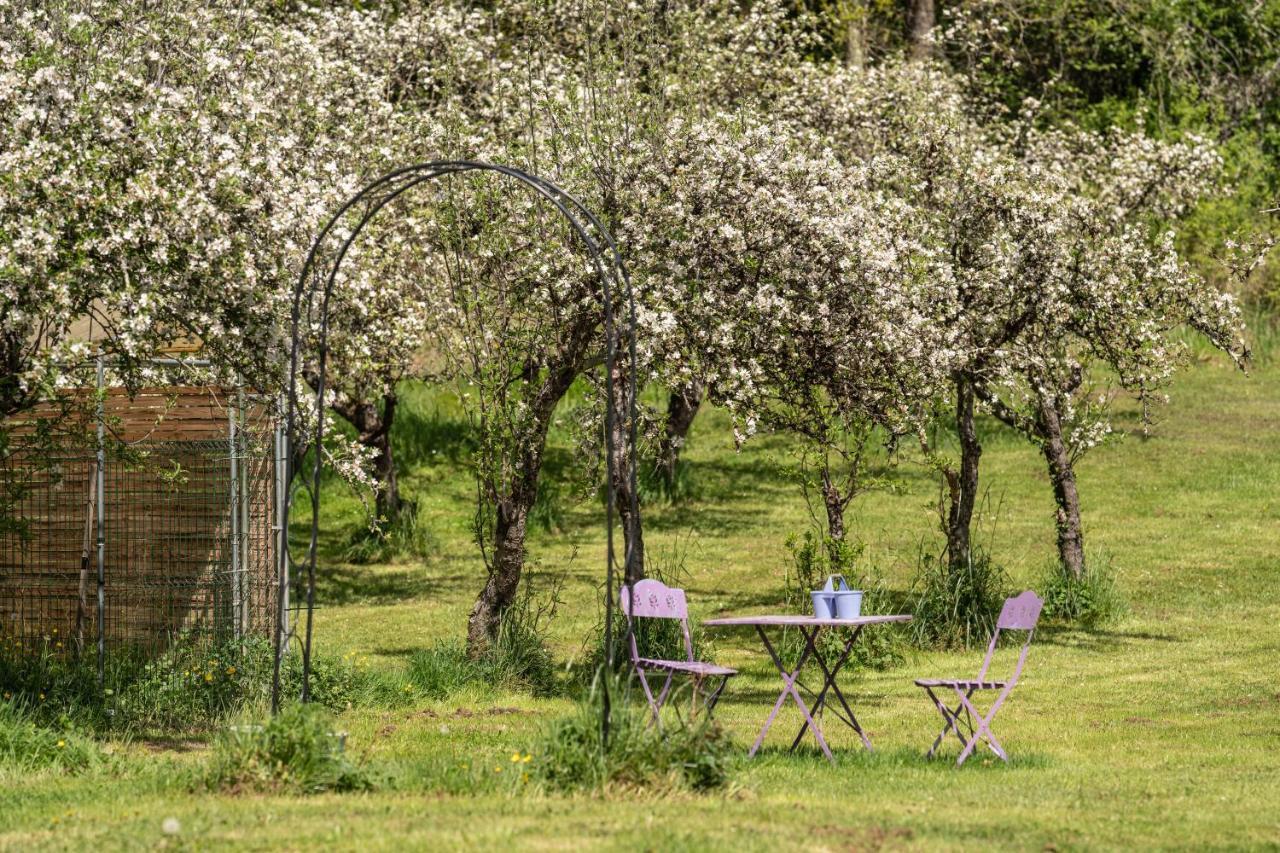Domaine Mon Doux Reve Bed & Breakfast Terrasson-Lavilledieu Exterior photo